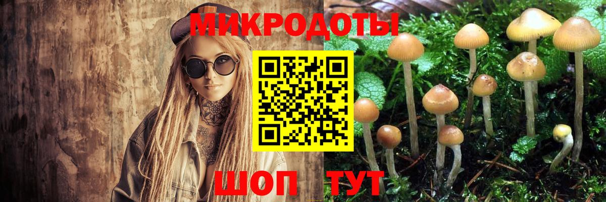 Псилоцибиновые грибы Magic Shrooms Всеволожск
